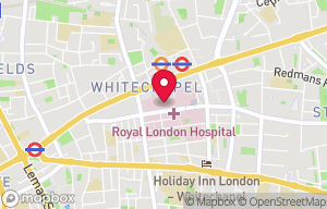 Queen Mary, University of London Medical School Library - Whitechapel Site on the map